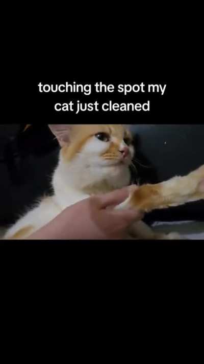  prank that went to far