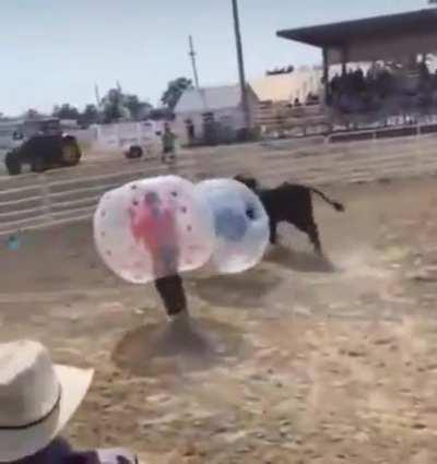 Just guys and their bull
