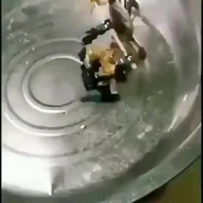 La mejor pelea de evangelion: