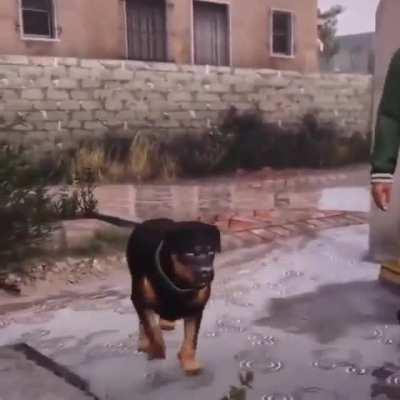 Words from the holy book