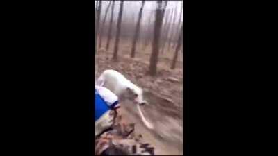 HOW BOYS DRIVE CARS: