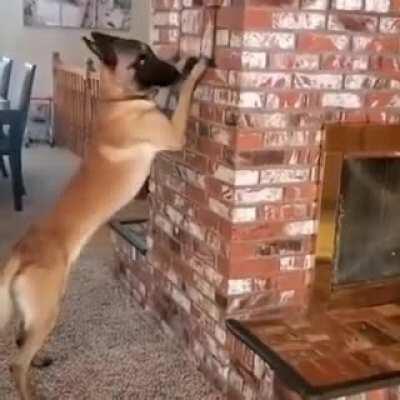 Playing hide & seek with a friend