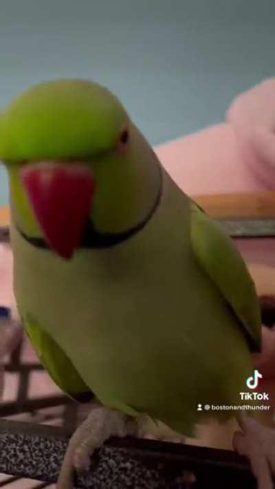 Thunder wants you to know you’re doing amazing!