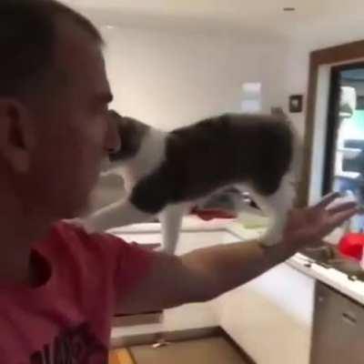 Hey, he seems to be coming to you