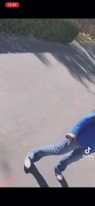 Pitbull attacks Horse and Carriage (not my video)