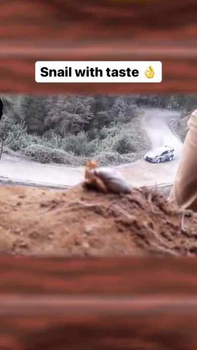 The snail knows what's the good stuff 