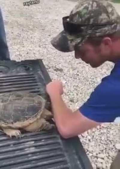 Snapping Turtle vs. Moron...