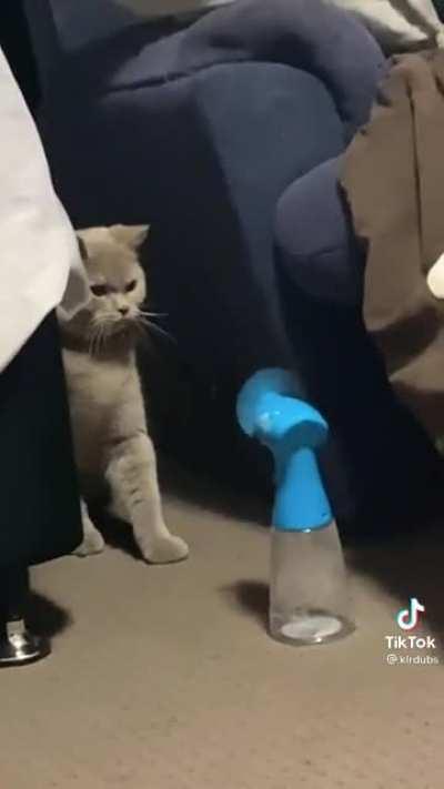 What is this contraption?!