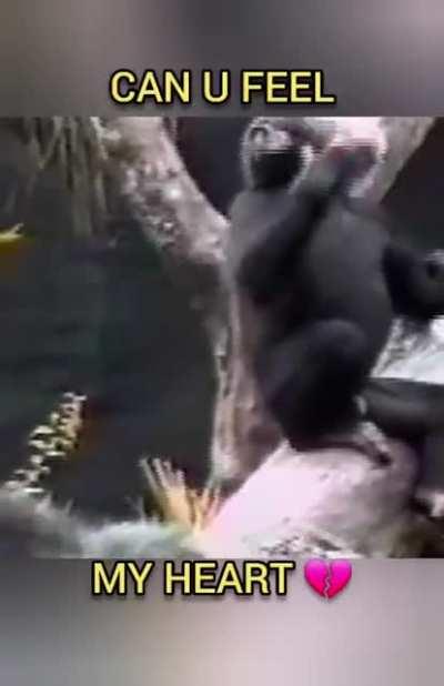 😈 Orslock Brotherhood 😈