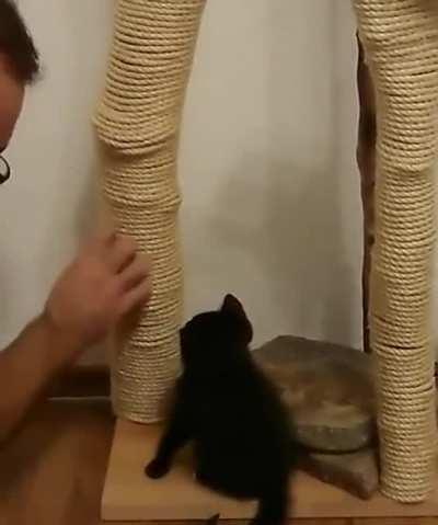 Learning how to productively scratch