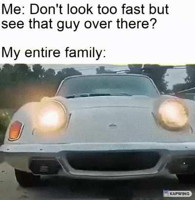 what the hell did i just tell you