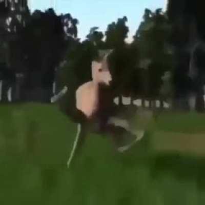 no se, ustedes ponganle los :