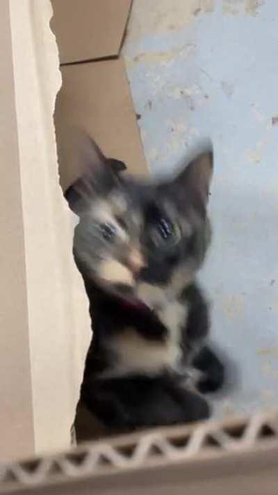 Moments before disaster