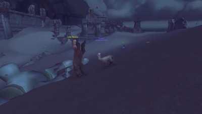 Alpacas are fantastic.