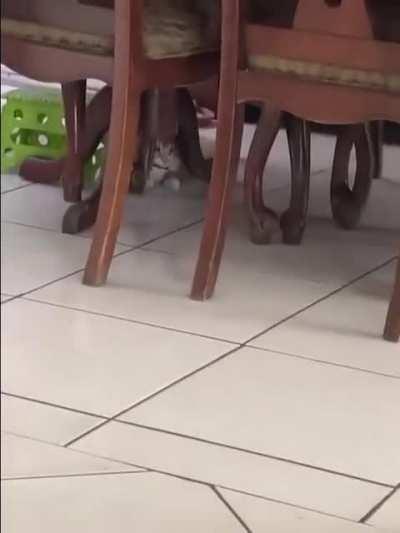 He decided to catch me instead of a toy