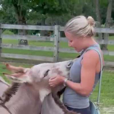 The Donkey Whisperer
