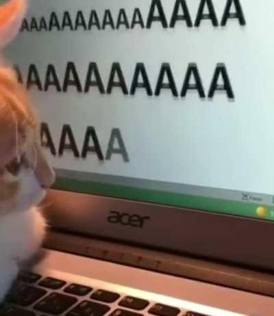 Life Of The Prolific Author