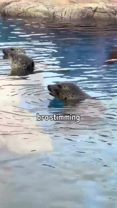 AWAWAAAWAAAWAAAWAAAWAAAWAAAWAAAWAAAWAAAWAAAAWAAAAWAAAWAAAAWAAAAWAAWAAAWAAAWAAAWAAAWAAAAWAAAWAAWAAAWAAAAWAAAWAAAWAAAAWAAAWAAAAWAAAWAAWAAWAAAWAWAAAWAAAWAAAWAAAWAAAWAAAWAAAWAAAWAAAWAAAAWAAAAWAAAWAAAAWAAAAWAAWAAAWAAAWAAAWAAAWAAAAWAAAWAAWAAAWAAAAWAAAWAAAWAAAAW