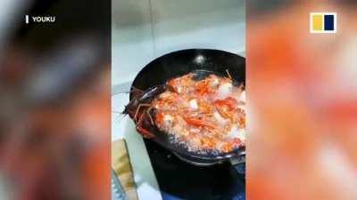 Crayfish rips own claw off to escape cooking pot