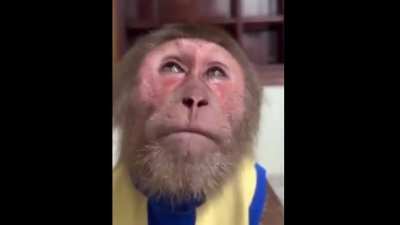 घर से निकले थे हम रोशनी की तलाश में, धूप इतनी लगी कि साया भी जल गया। - Rahat Indori