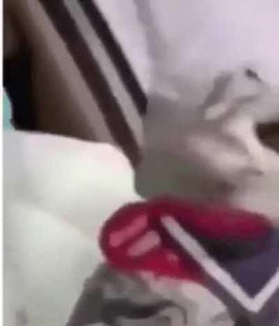 Extroverts, after taking the vaccine and can finally go out