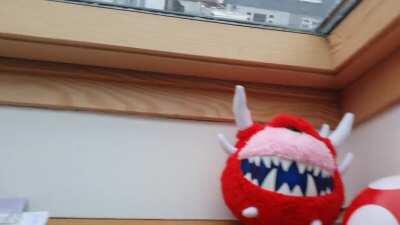 I just found the greatest thing