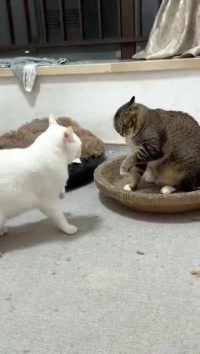 The face of instant regret (1)