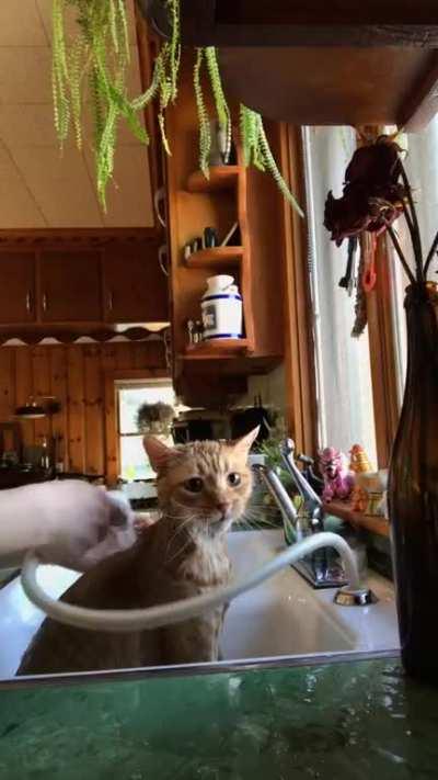 Spike can do no wrong