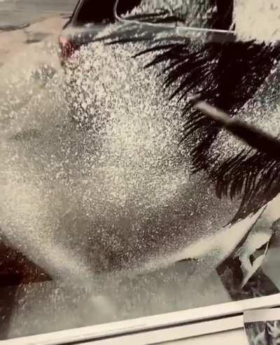 Fox In The Snow. Window Art Using Snow Spray