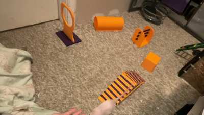 My amazing pet rat Carrot's turn to do some fun agility!