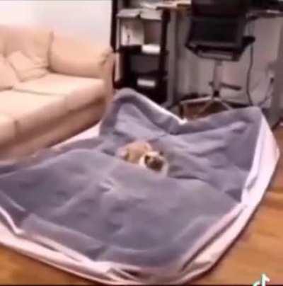 Maybe it wasn't so smart to extend the claws


