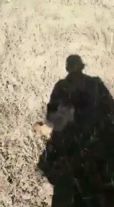 A final cry for help