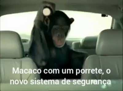 link do mamaco para comprar