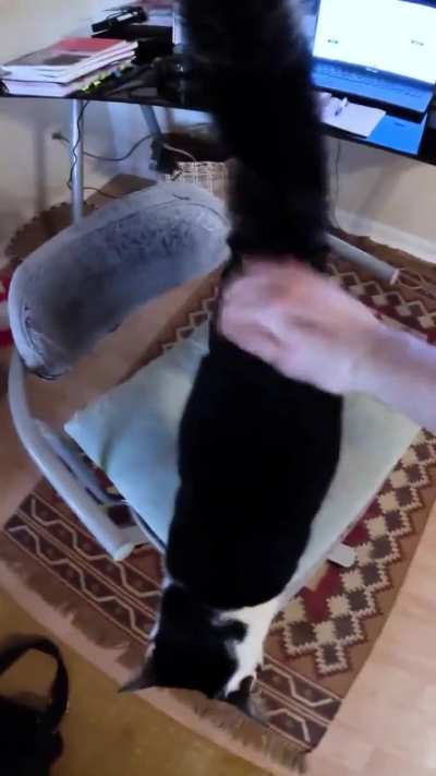 New wunkus petting mechanics just dropped