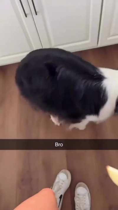 Everything make me remember her. 