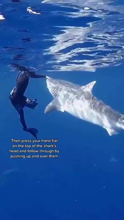 There’s also another trick and it’s to stay on dry land