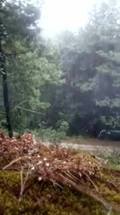Policías estatales fueron emboscados por LFM en Almoloya de Alquisiras, México, México. [28/10/2018]