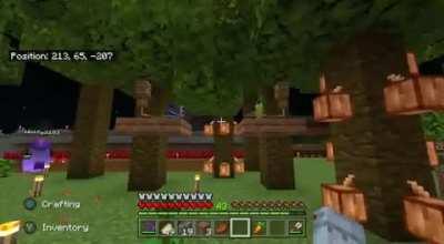 I didn't know you could do this until my boyfriend showed me 'Disco Birds'.