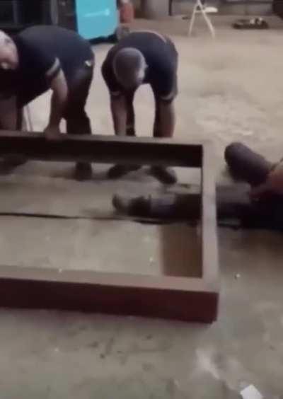 Had to give him a hand… (leg)