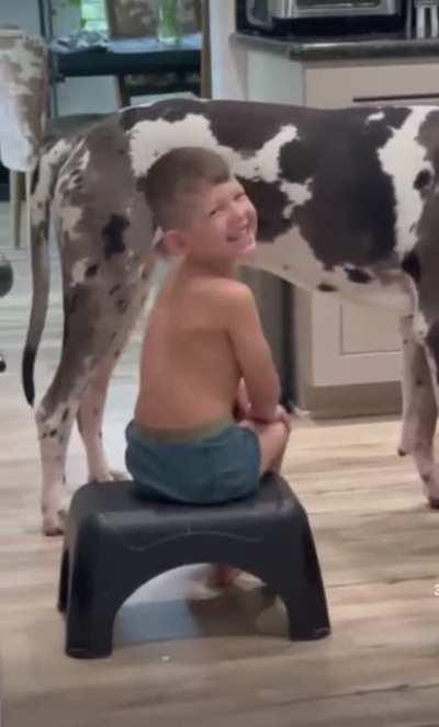 “Those are not udders”