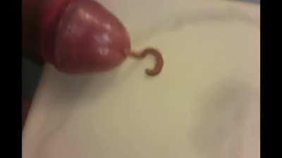 Cursed_Worm