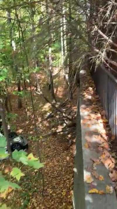 This just happened at my local gas station. Woman drove off a 20+ ft wall into the woods. She was driven off via ambulance, but was breathing on her own.