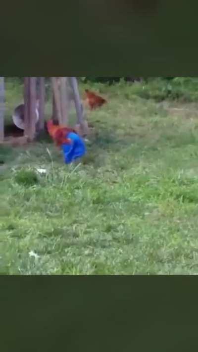 I always have strange dreams if I watch this before going to sleep