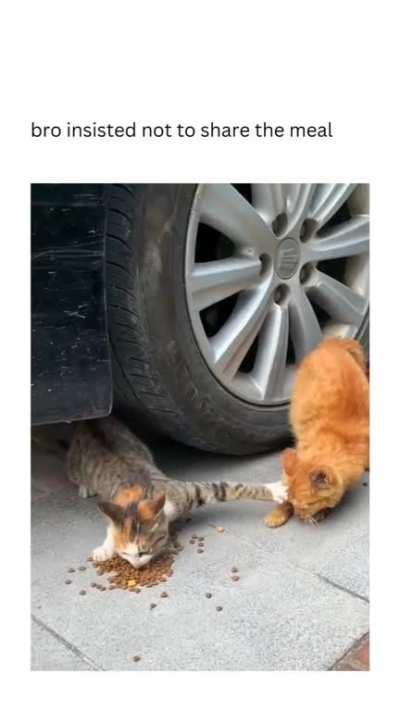 Joey doesn't share food.