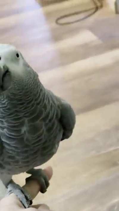 Gib step up pls 🥹