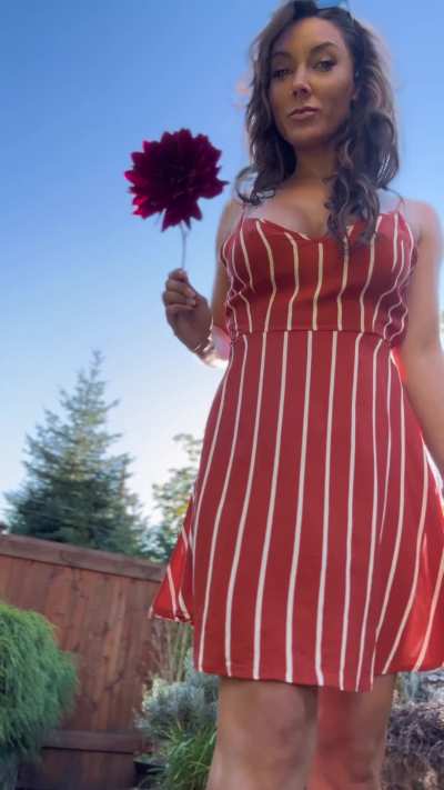 Sunny day in my garden of delights