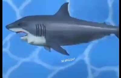 SchwammStein (Schwamm=Sponge)