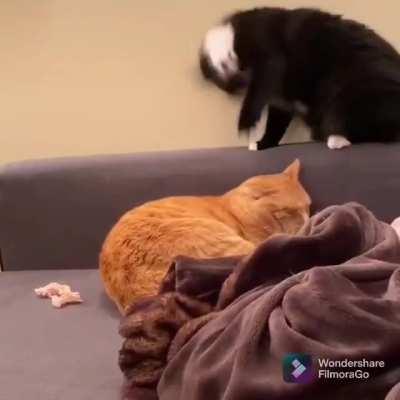 Just kiddin' bro, I luv ya