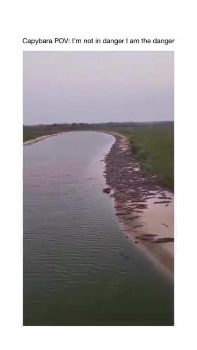 Capybara is on another level.