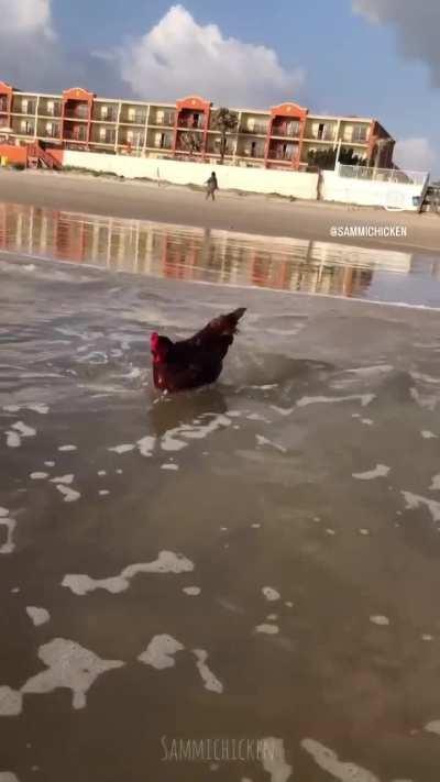 When you go to the beach and step ankle high in the water and wait for the waves to recede so you can feel the sand disappear under your feet   